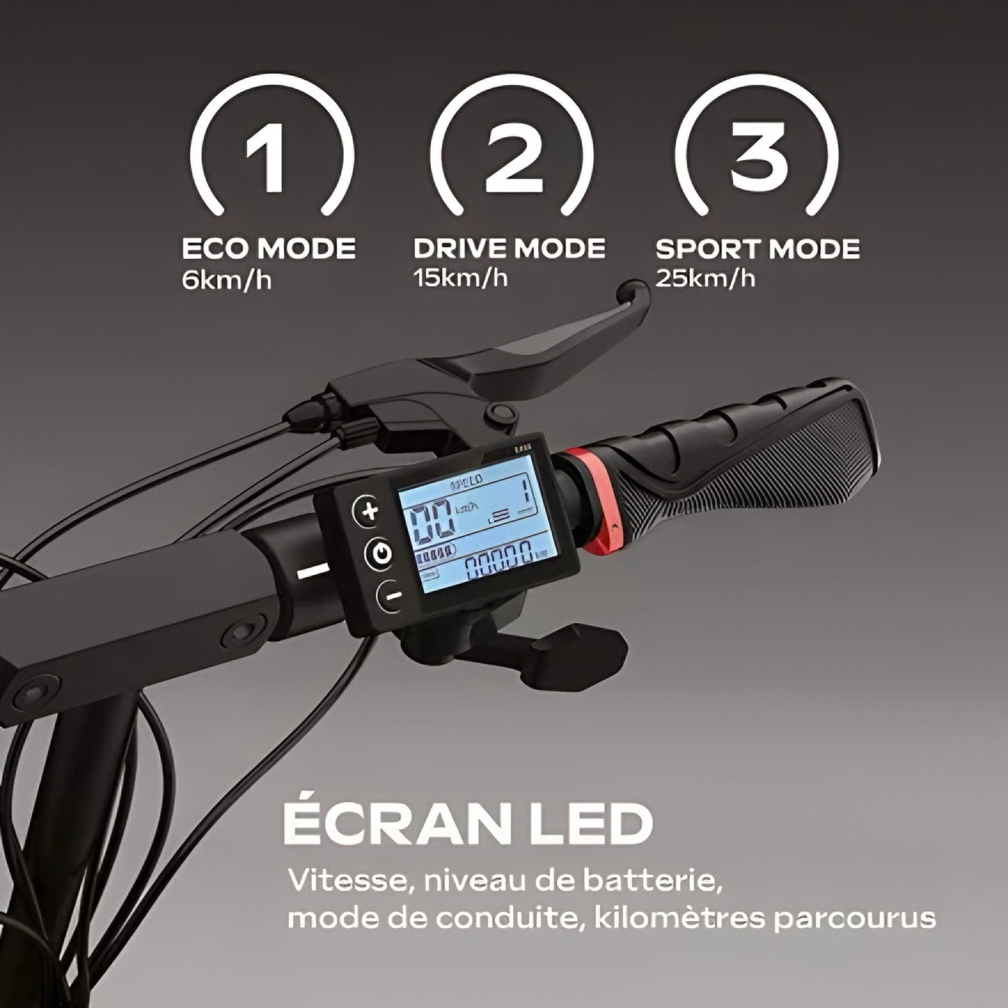 Trottinette électrique Ecross Duo II